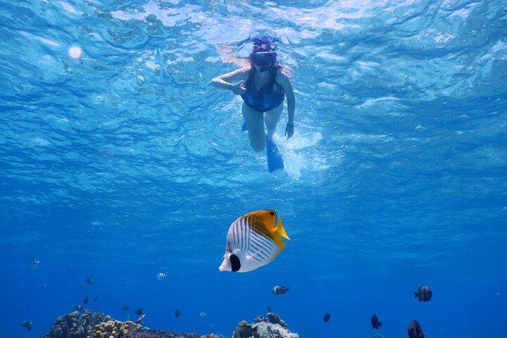 1day kayak tour in Kerama Islands and Zamami Island