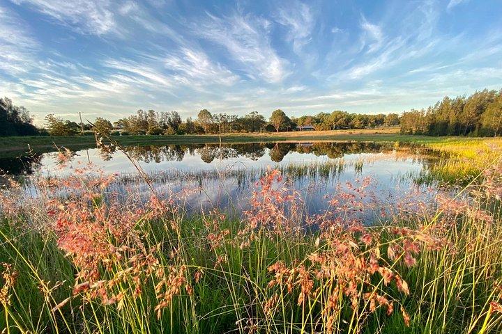 Private full-day wine tour in the Hunter Valley