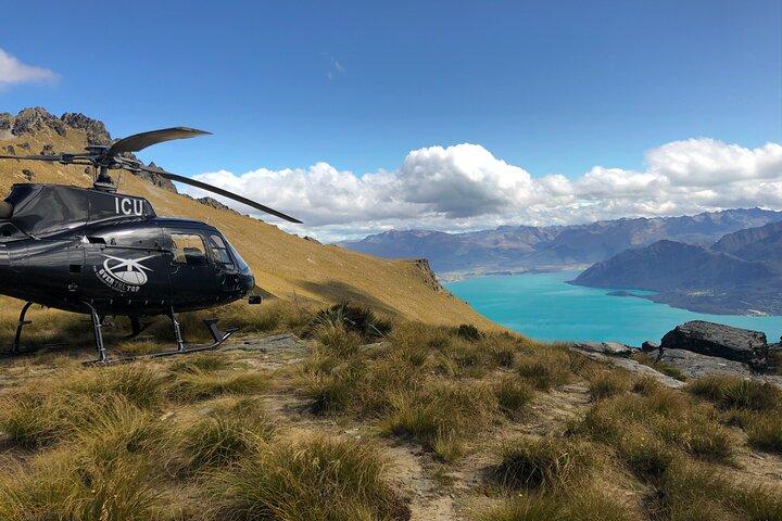 Punti salienti di Milford e Fiordland Tour in elicottero da Queenstown