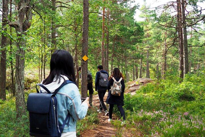 Escursione nell'arcipelago da Helsinki con pranzo e trasporto