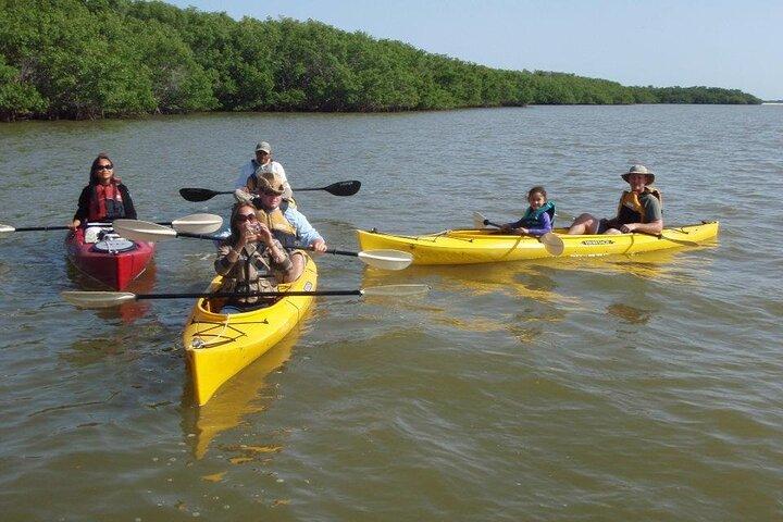 Smågrupp Everglades båtpaddling och ekologisk promenad i kajak