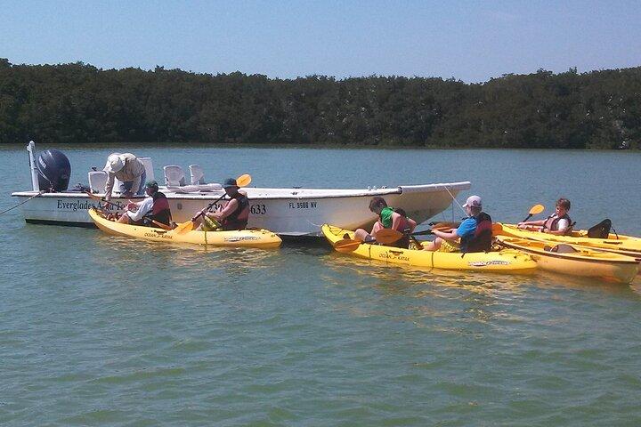 Smågrupp Everglades båtpaddling och ekologisk promenad i kajak