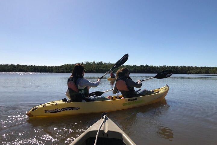 Smågrupp Everglades båtpaddling och ekologisk promenad i kajak