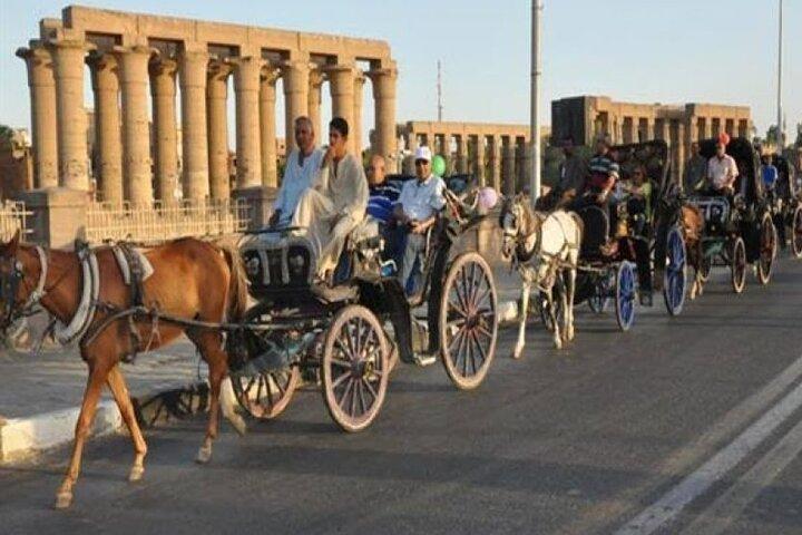 Stadtbesichtigung in Luxor mit Kutschenfahrt