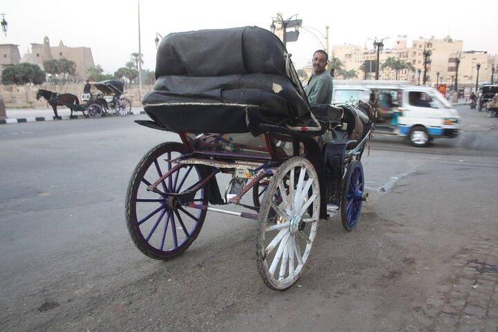 Stadtbesichtigung in Luxor mit Kutschenfahrt