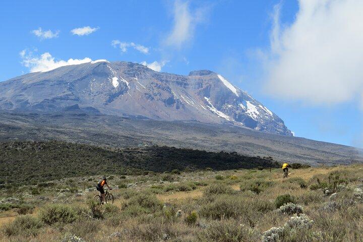 Mt Kilimanjaro Klättring - 8 dagar Lemosho
