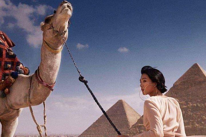 Day Tour Giza Pyramids by Camel In Egypt