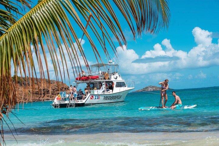 Heldags snorkeltur til Culebra Island med frokost