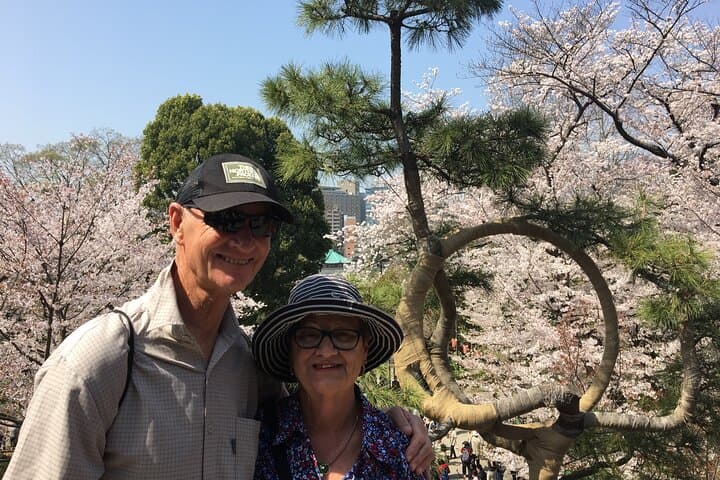 Tokyo Private Cherry Blossom Tour with a Local – Picnic Included