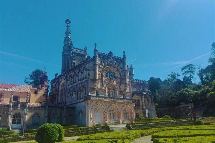 Bussaco Forest Walking Experience, half day from Coimbra