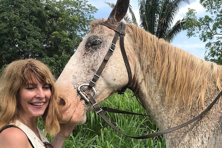 7h30 Jungle Farm Trail Ride plus aventure Xunantunich
