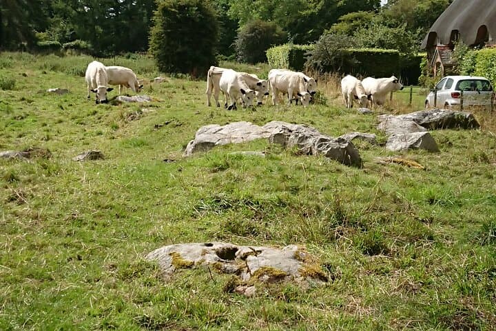 Stonehenge, and Avebury in One Day