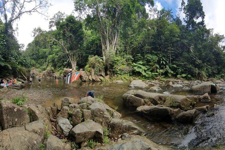 El Yunque National Forest und Luquillo Beach Tour