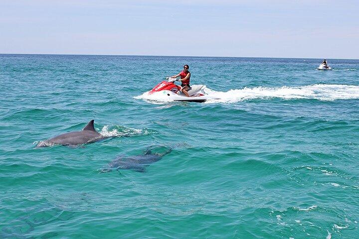 Aventura en moto acuática de delfines de Crab Island
