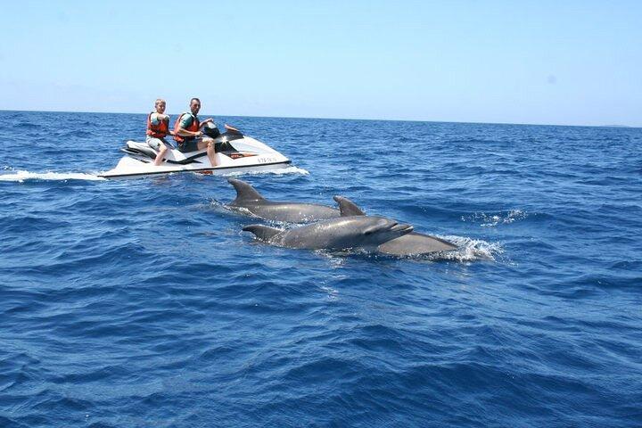 Aventura en moto acuática de delfines de Crab Island