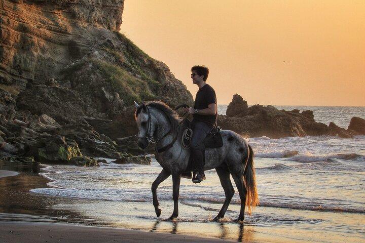 Horseback riding tour in a Colombian Paso fino horse