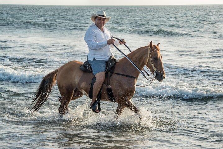 Horseback riding tour in a Colombian Paso fino horse