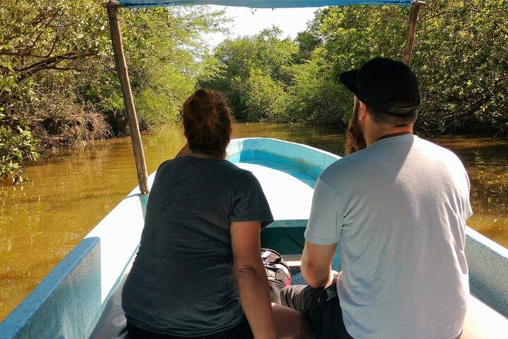 Lagunenabenteuer: Jungle, Turtle Release & Cliff Diving Spektakel