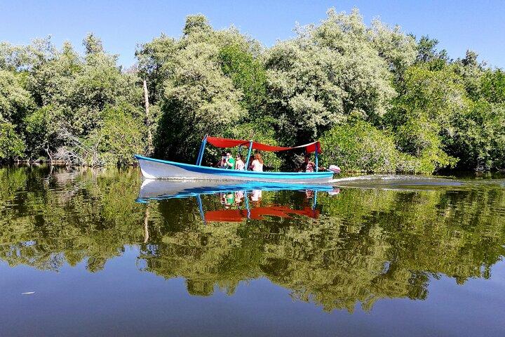 Lagoon avontuur: Jungle, Schildpad Release & Cliff Diving spektakel