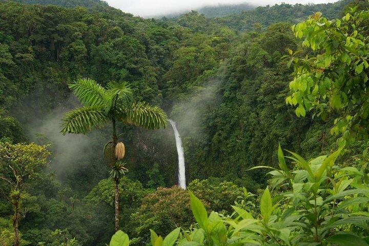 Randonnée guidée sur la cascade de La Fortuna, y compris déjeuner à la ferme La Finquita