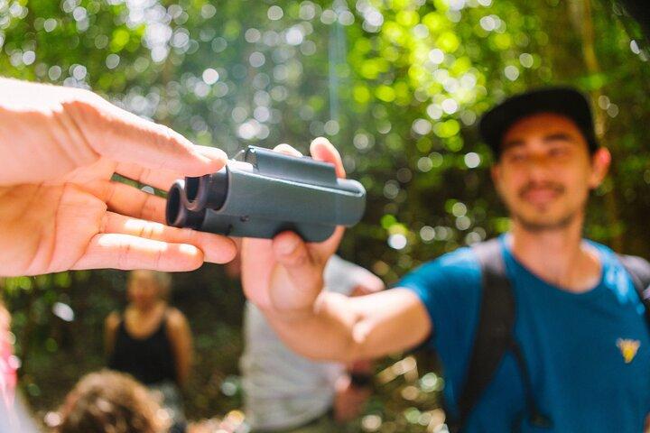 Big Island : Hakalau Forest Reserve Bird Watching Adventure