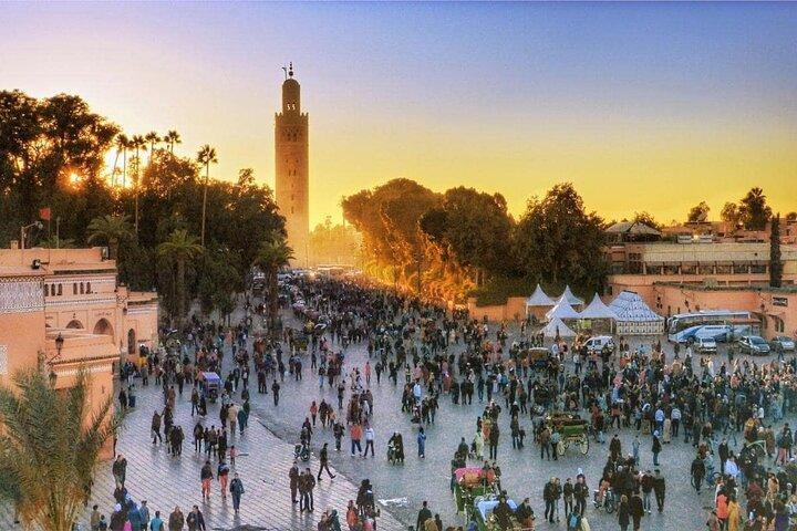 Marrakech : tour guidato delle attrazioni della città e dei giardini