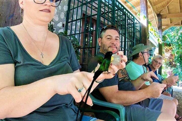 Rocklands Bird Sanctuary y City Highlights más compras desde Grand Palladium