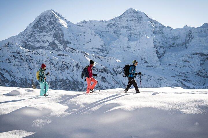 Schneeschuhabenteuer in den Schweizer Alpen