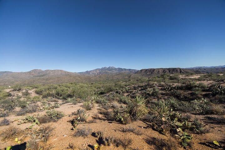 Tour privato di mezza giornata dell'Apache Trail