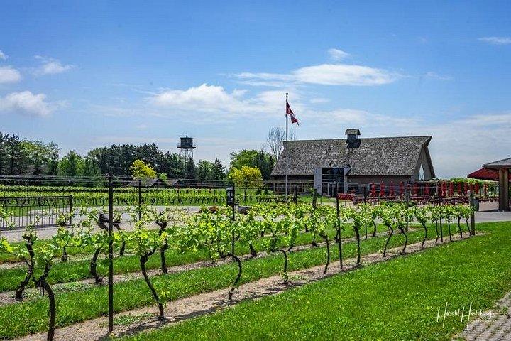 Private Customizable Niagara Winery Tour from Niagara Falls, NY