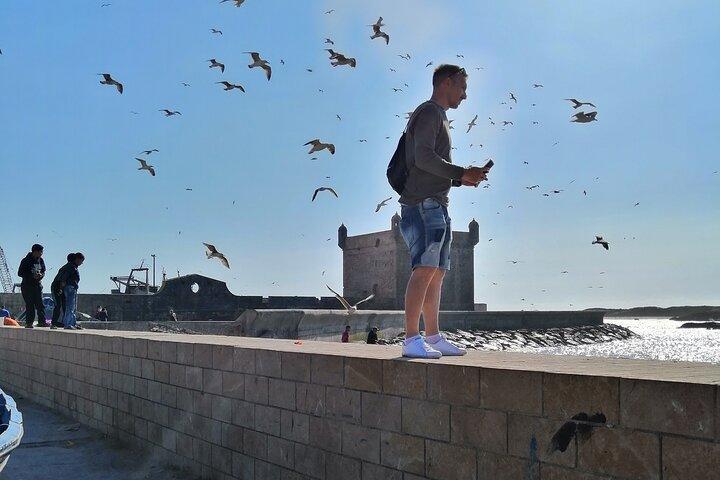 Private Full Day Tour to Essaouira from Marrakesh