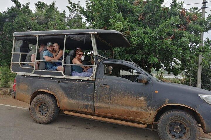The Best Safari tour from Hambantota Port (Janaka safari)