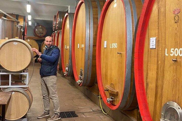 Barolo&Barbaresco Wine Experience con un enólogo local / Torino