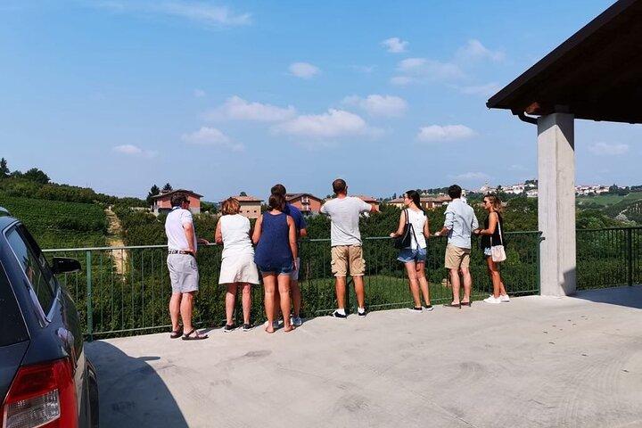 Barolo&Barbaresco Wine Experience con un enólogo local / Torino