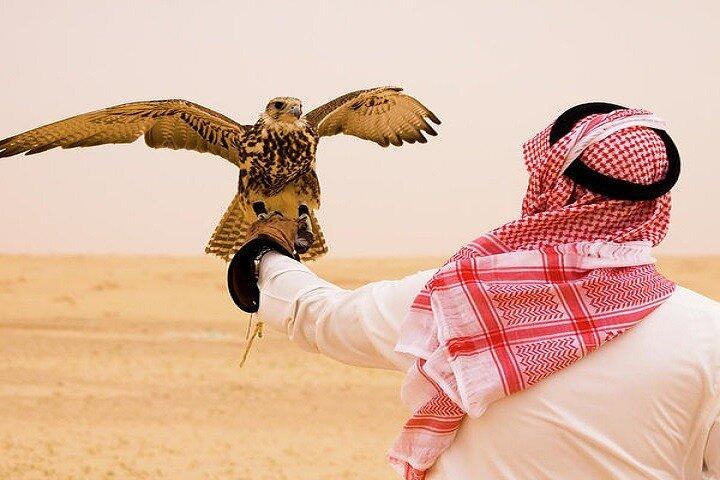 Safari dans le désert et expérience en quad à Dubaï avec dîner