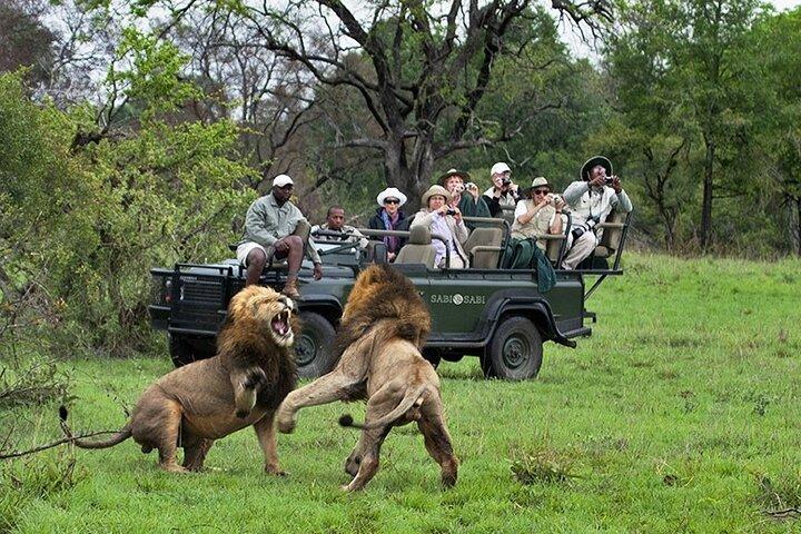 Chobe Full Day Trip