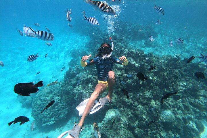 Halbtägiger Schnorchelausflug in Tahiti