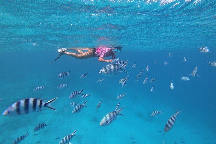 Halbtägiger Schnorchelausflug in Tahiti