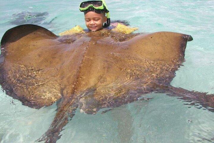Stingray Ville