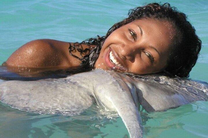 Stingray Ville
