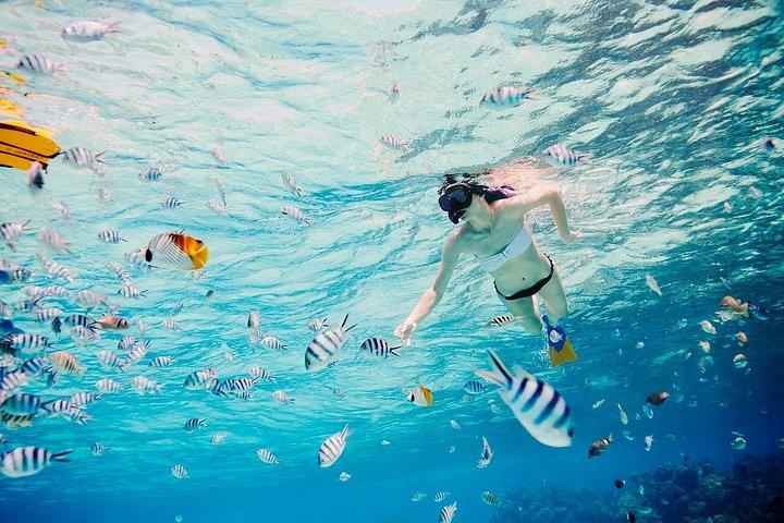 Full Day Lagoon Group Tour in Bora Bora with Lunch