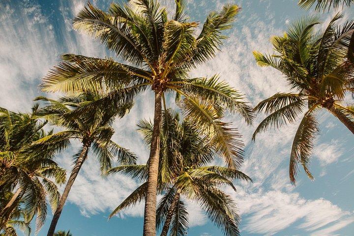 Private Full-Day Lagoon Adventure in Bora Bora with BBQ Lunch