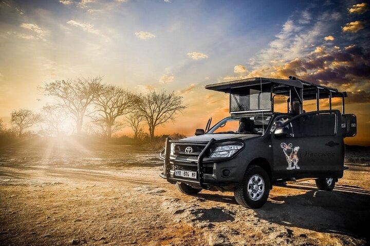 Parque Nacional de Kruger Private Guided Afternoon Game Drive