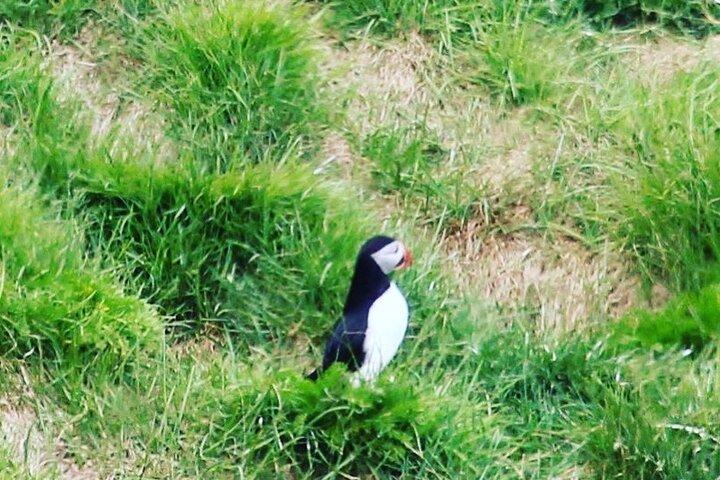 Visite privée de la côte sud au départ de Reykjavik