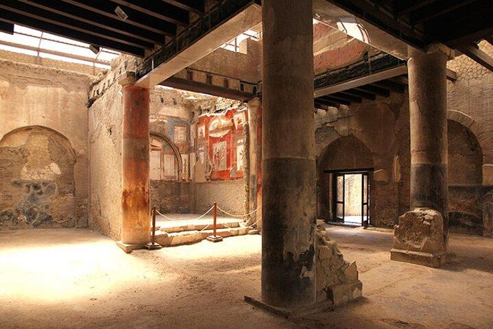 Vesuvius og Herculaneum Dagstur fra Napoli med Skip the Line
