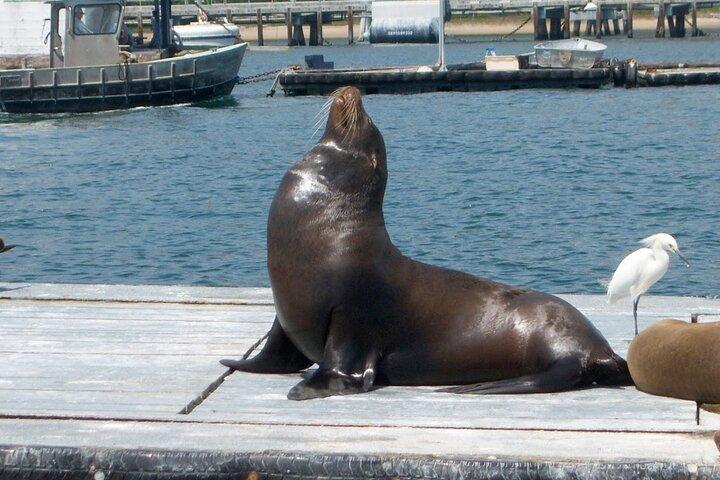 San Diego Hafenrundfahrt