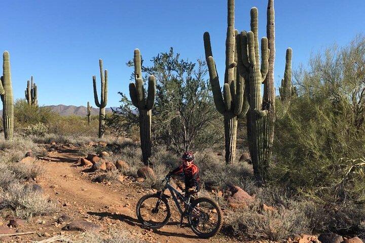 Visite guidée privée en VTT de 3 heures dans le désert de Sonora