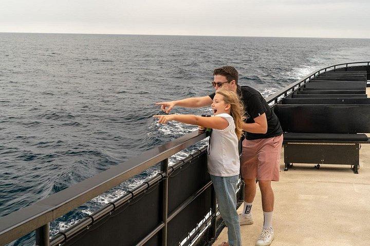 San Diego hvalsafari krydstogt