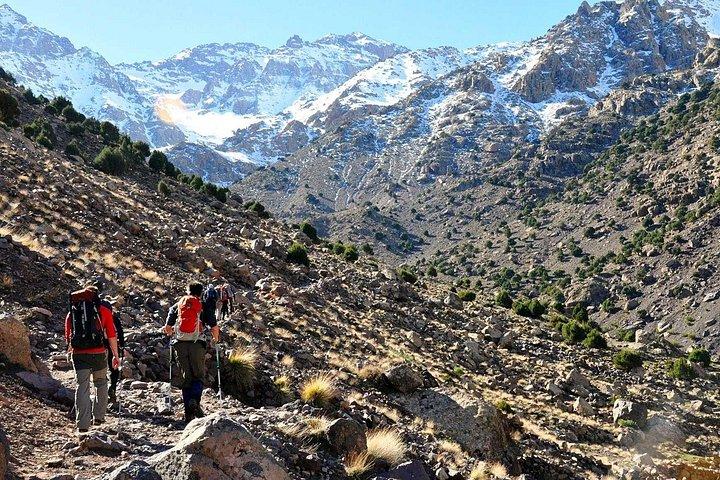 マラケシュからの昼食を含むベルベル・トレイルとアトラス山脈日帰り旅行