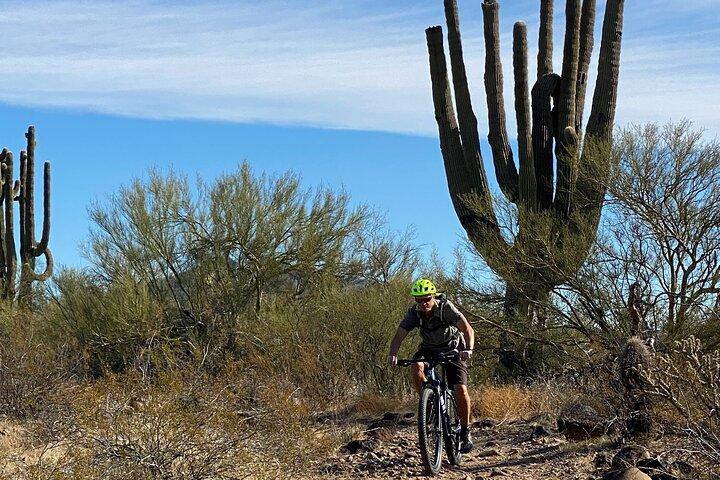 Visite guidée privée en VTT de 3 heures dans le désert de Sonora